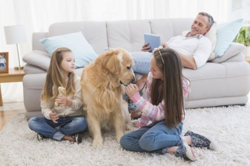 Children with dog in home