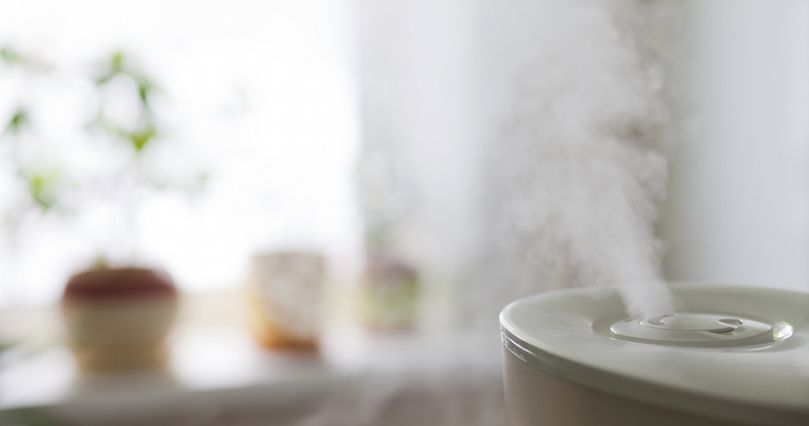 Humidifier 