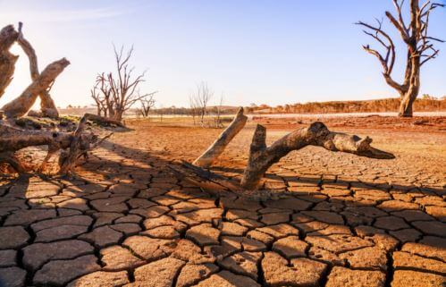 Dry Desert